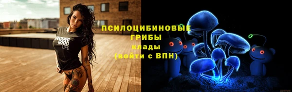трава Беломорск